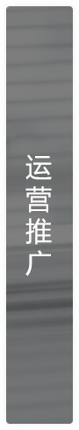移動(dòng)應(yīng)用市場策略